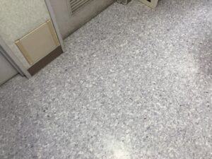 IMG_5846