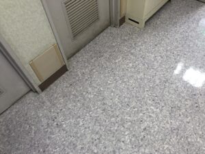 IMG_5848